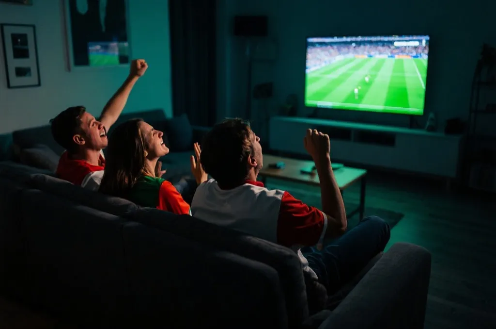 加拿大球迷在世界杯比赛日的观赛氛围图
